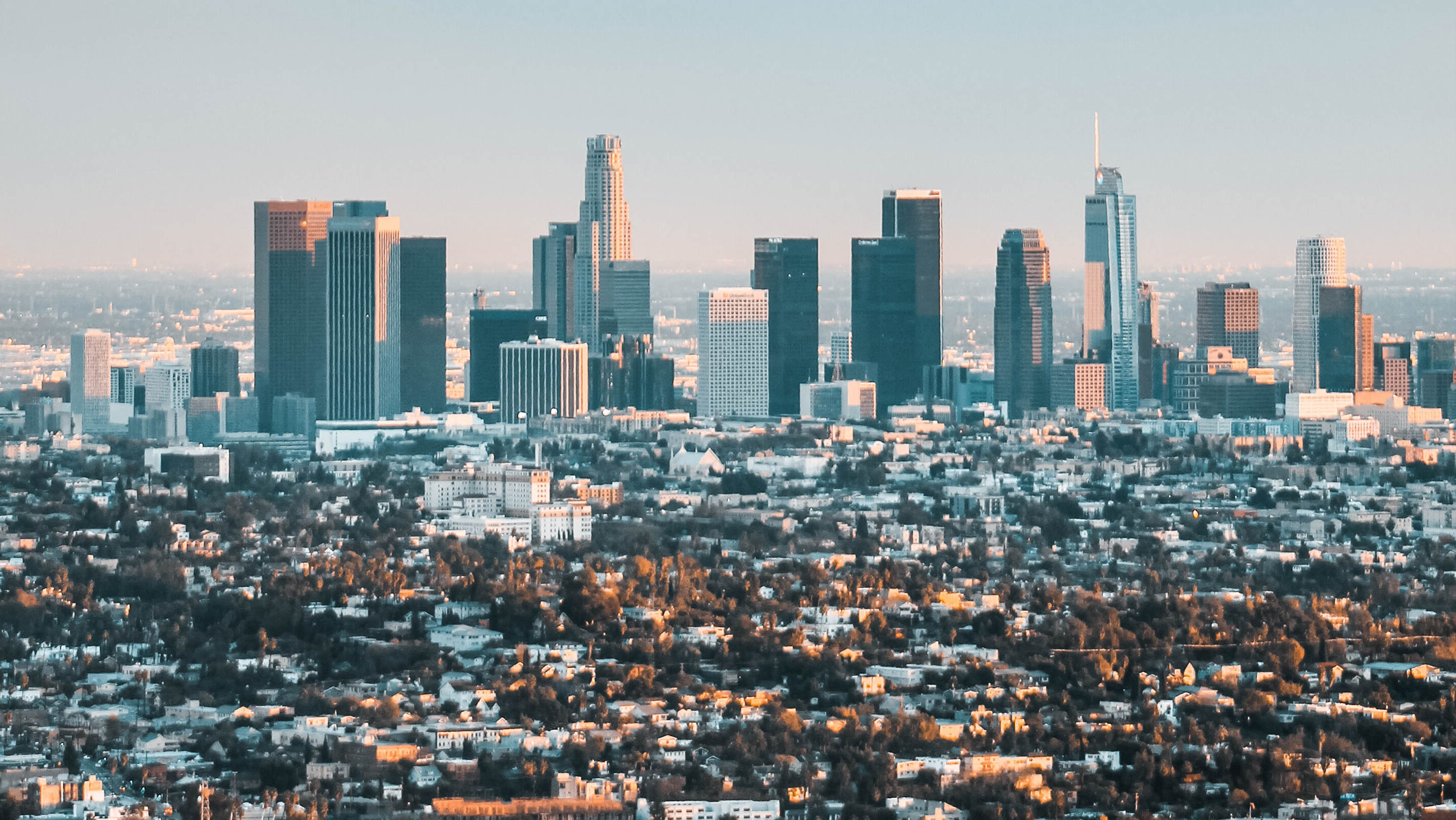 Lederer & Nojima, LLP - Los Angeles personal injury law firm